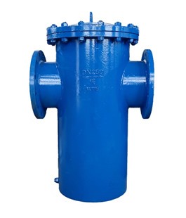 籃式過(guò)濾器